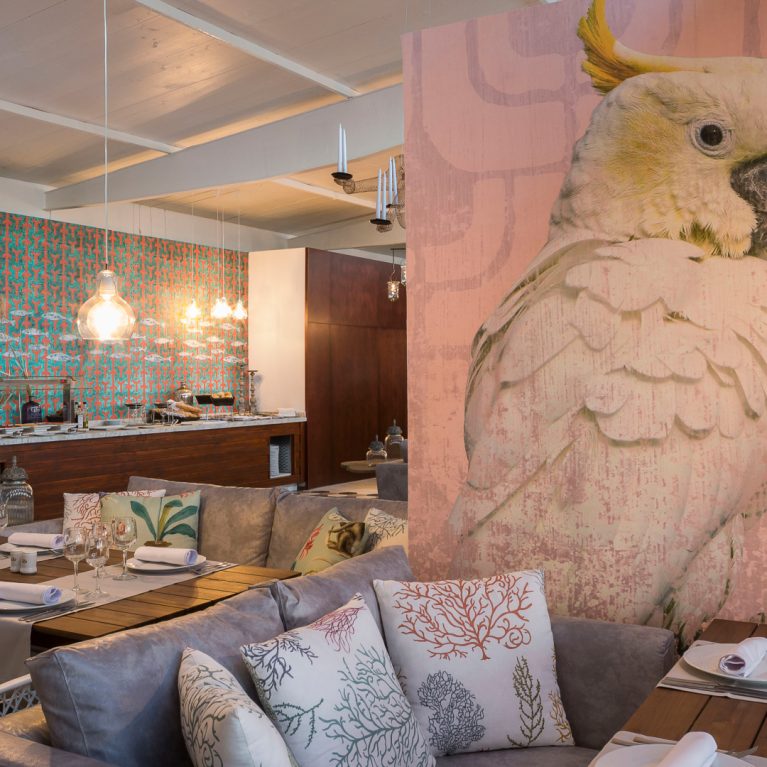 PORTADA CÁPSULA 4 (3)